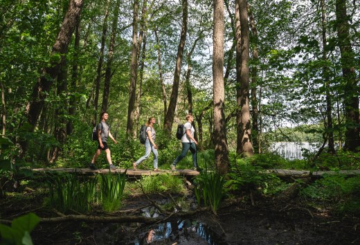 There are many ways and paths to explore the nature of the Sternberger Seenland. Three friends set off on foot through the dense forests on the shores of Lake Labenz., © TMV/Gross