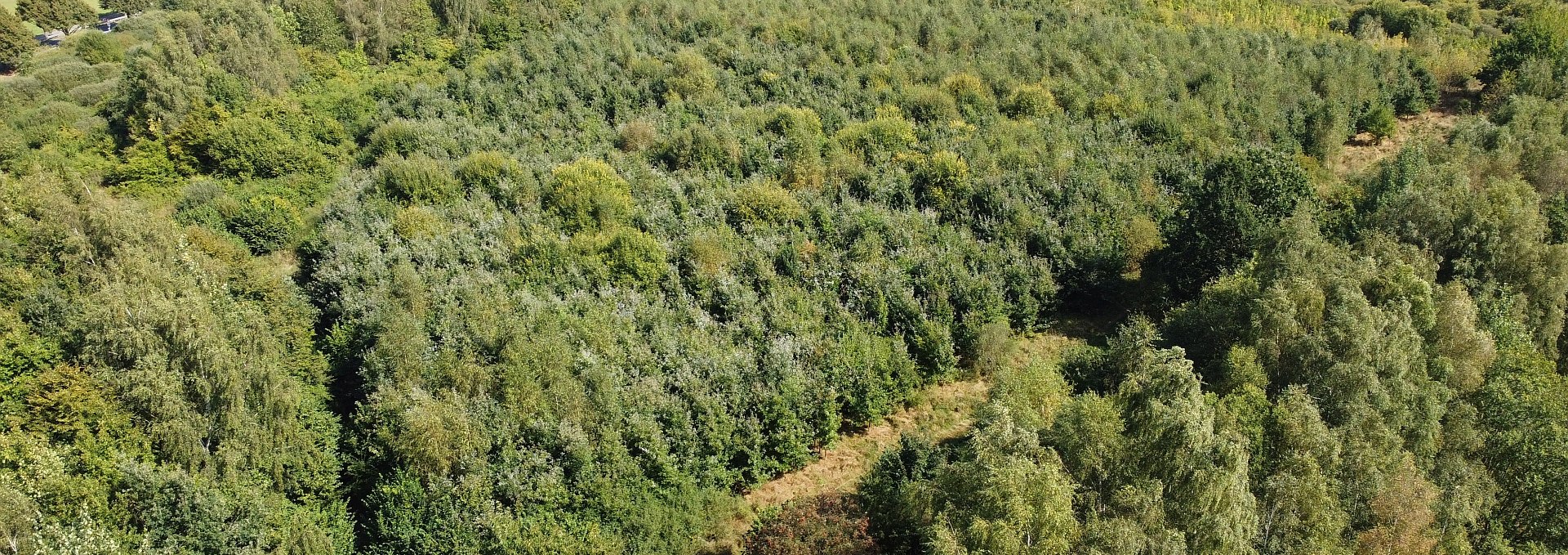 Climate Forest Biosphere Reserve Schaalsee, © Landesforst MV