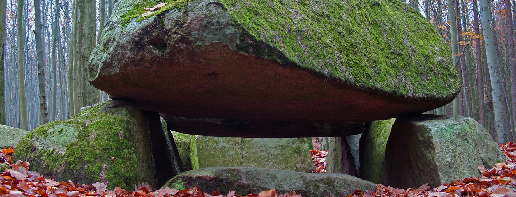 The megalithic tomb at the forest hall Sassnitz, © Archäo Tour Rügen