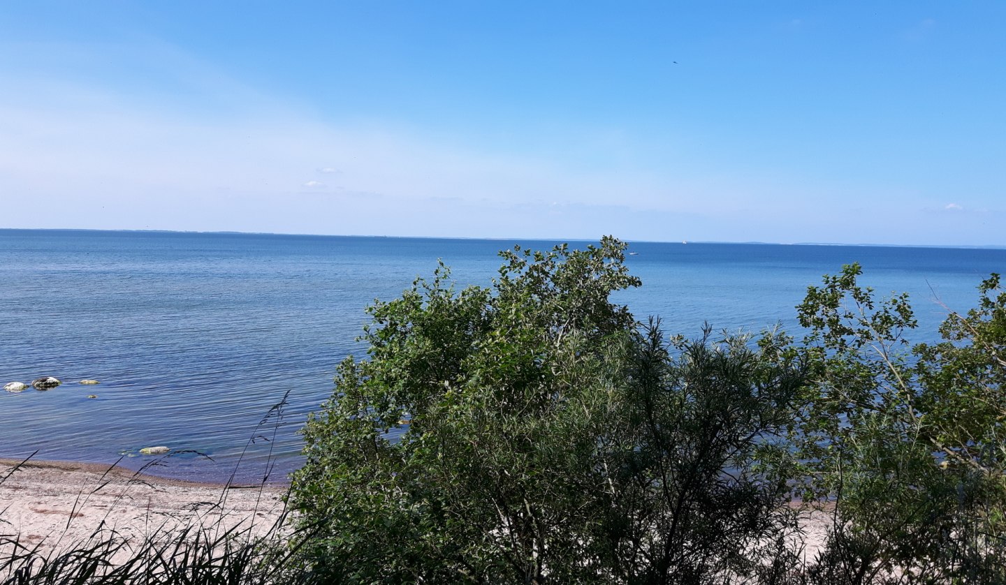 Collect stones and shells while enjoying a great view of the island of Rügen, © tvv-michaelis