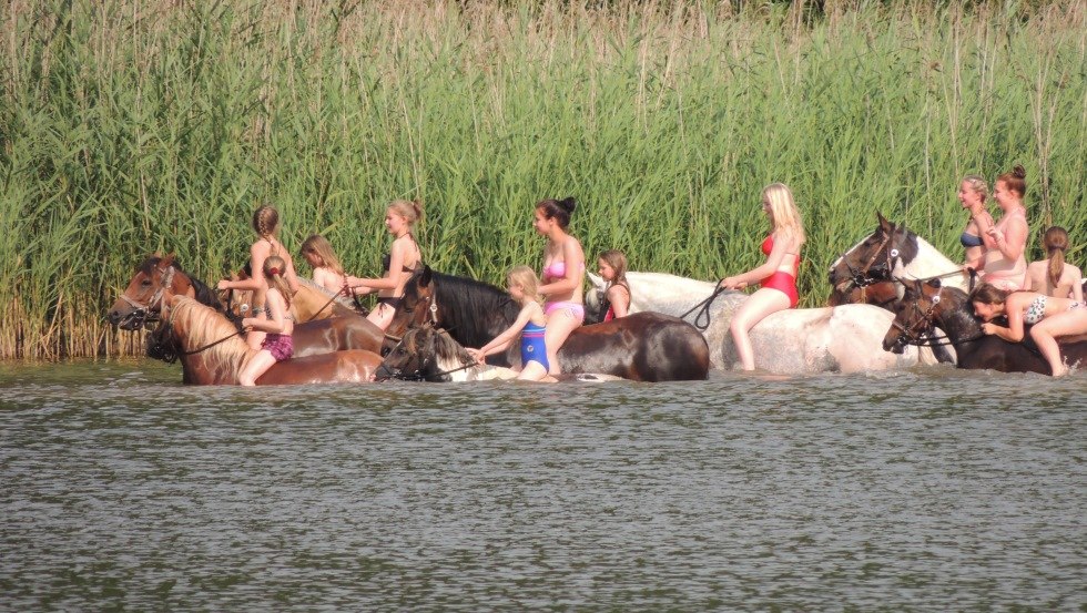 Riding horses into the water in the Goldberg-Mildenitz region, © Tourismusverein Waelder, Seen und Mehr e.V.