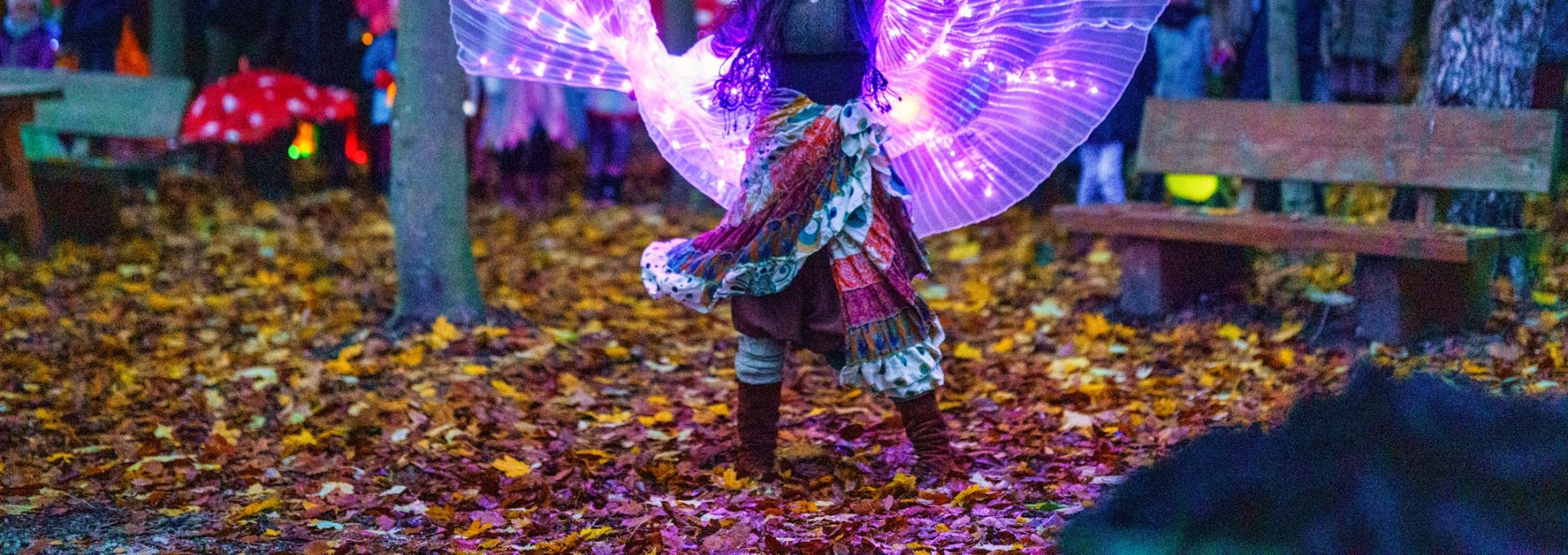 Fairy at the Festival of Lights in the BÄRENWALD Müritz, © BÄRENWALD Müritz