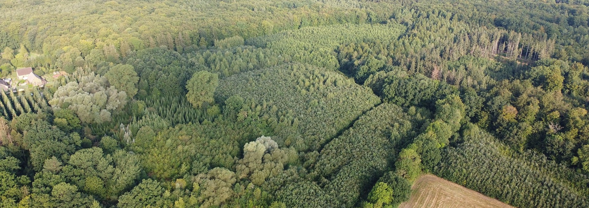 Climate forest Golchen, © Landesforst MV