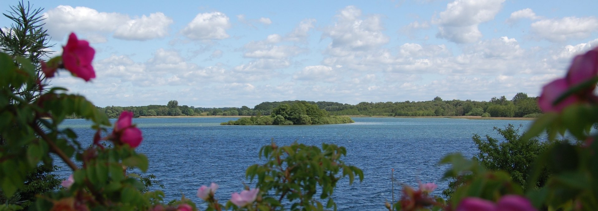 View from the property to the Schaalsee with the island Möwenburg., © © Susanne Hoffmeister