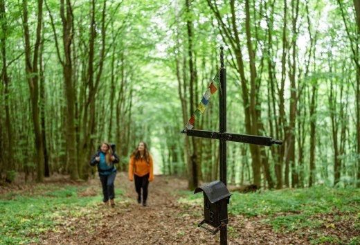 The Helpter Berg - Mecklenburg-Western Pomerania's highest peak - measures 179 meters. That's enough to get the girlfriends out of breath! Of course, don't forget to sign the summit book!