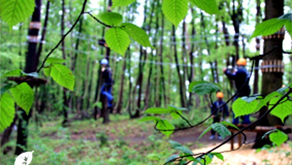 High in the green - Schwerin Climbing Forest, © Schweriner Kletterwald