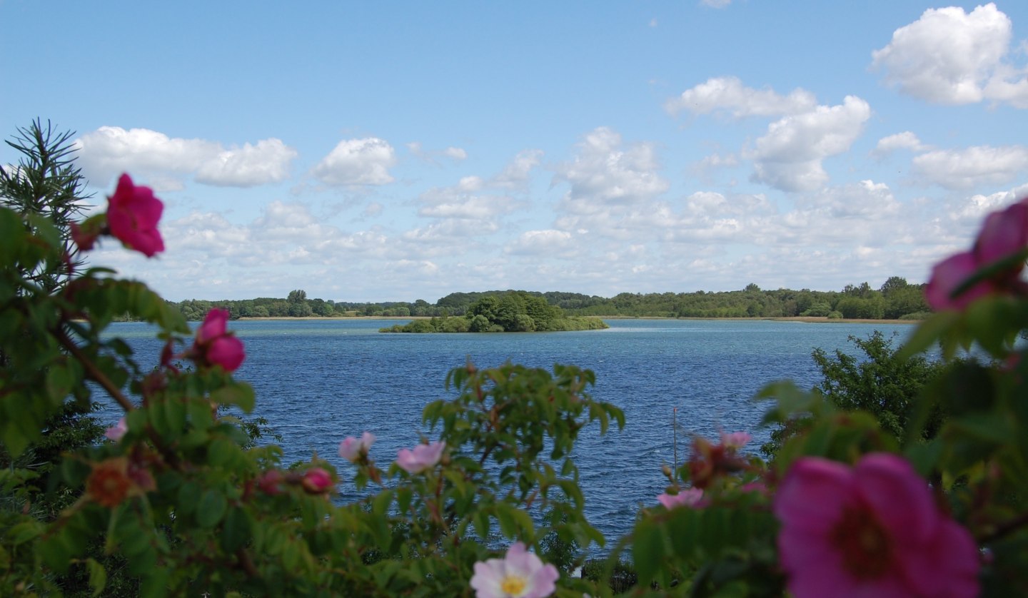 View from the property to the Schaalsee with the island Möwenburg., © © Susanne Hoffmeister