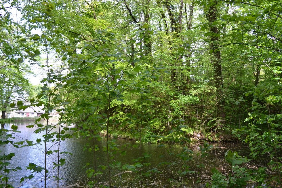 View across the moat to the wooded tower hill., © Lutz Werner