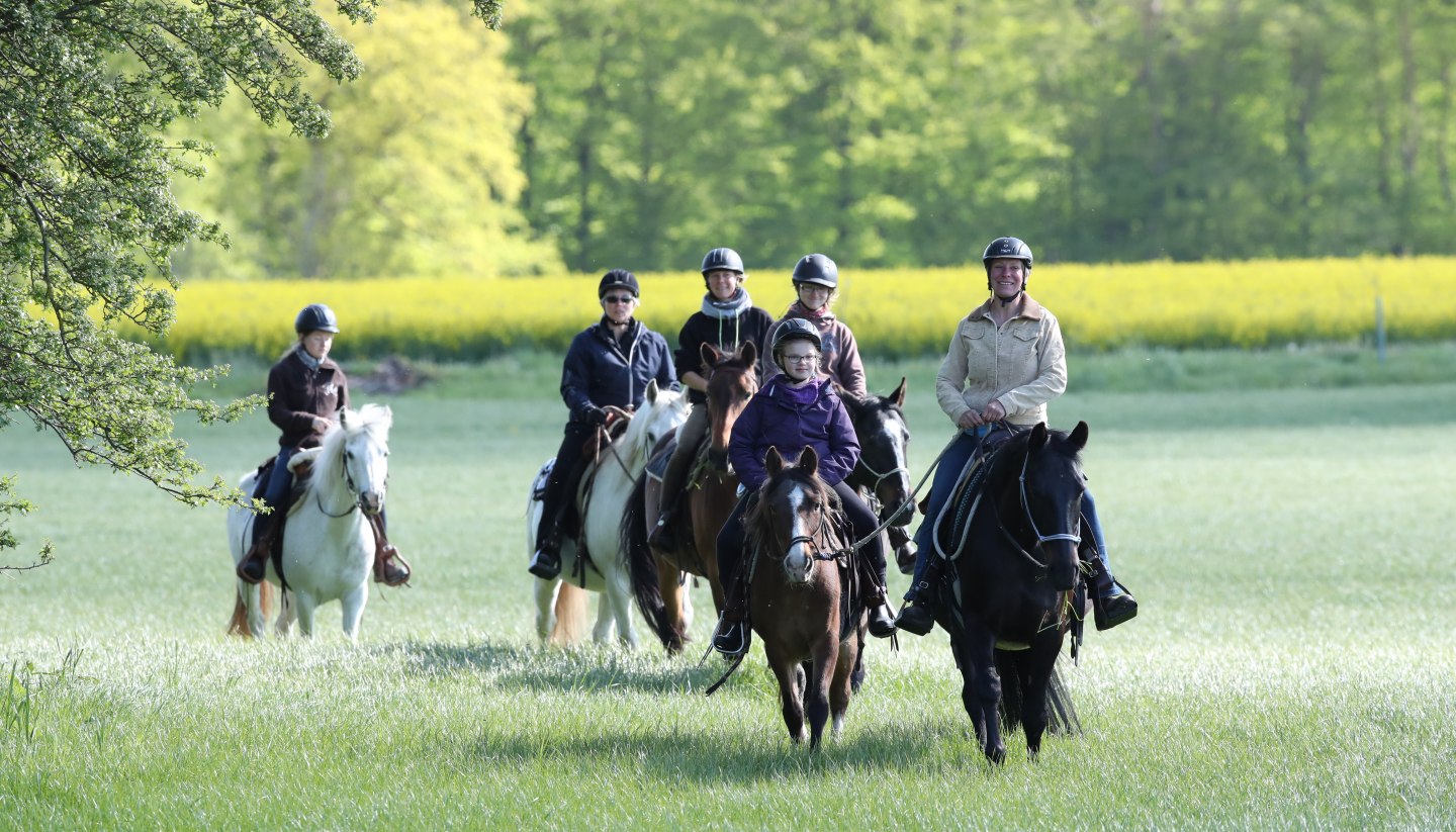 Trail ride over green meadows at the edge of the forest, © TMV/Pantel