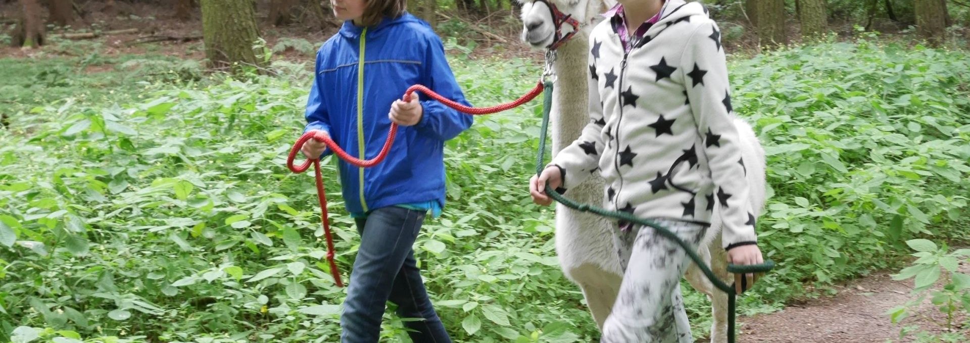 Children experience nature with the alpacas., © Lena Marie Hahn