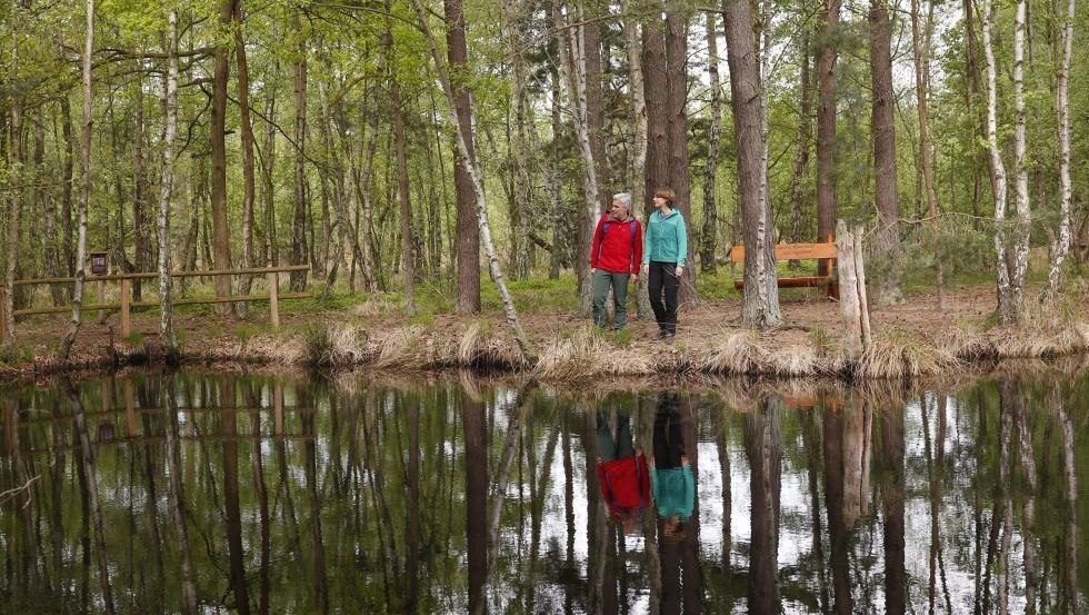 Hiker at the moor lake in the Great Ribnitz Moor, © TMV/outdoor-visions.com