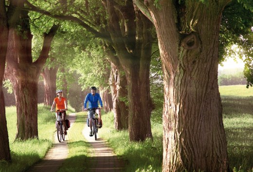 Cycling on the avenue, © TMV/outdoor-visions.com