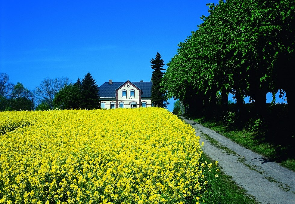 Einhusen, smallest village on the island, © Kurverwaltung Insel Poel / Markus Frick