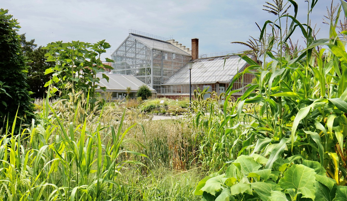 Botanical Garden, © Gudrun Koch