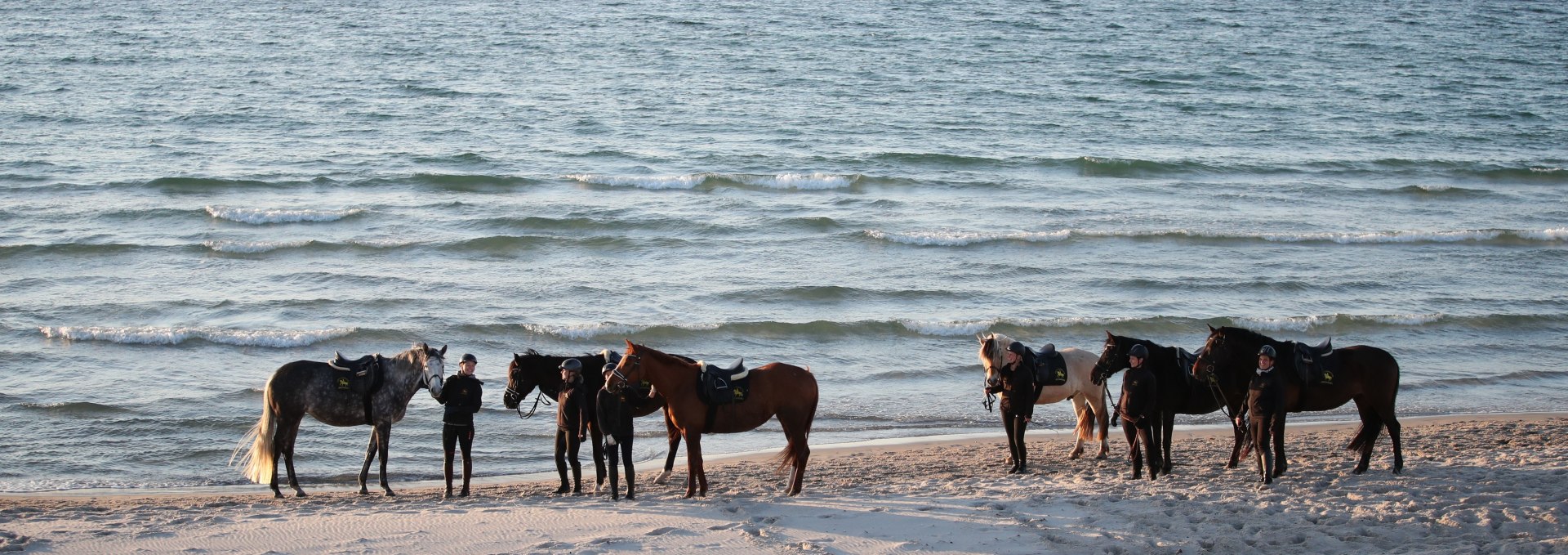 Riding on the beach, © TMV/ACP Pantel