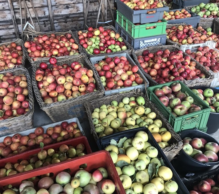 The rich harvest 2018., © A. von Senger und Etterlin