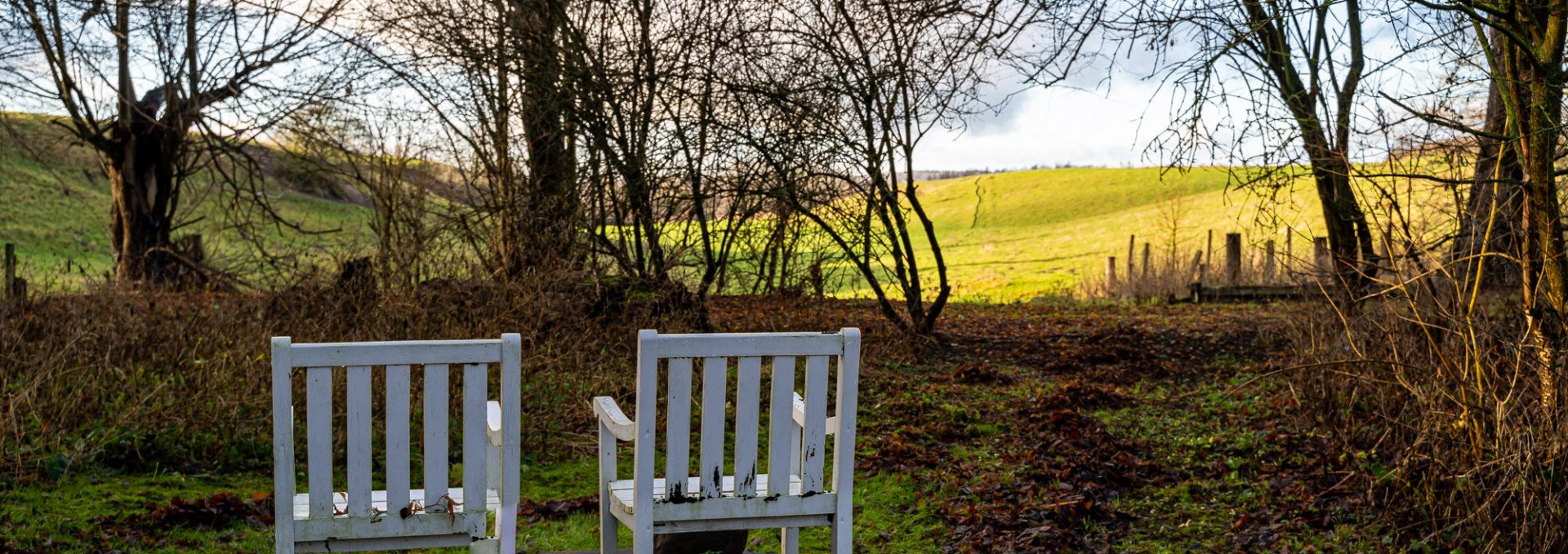 Beautiful view in the garden of the manor house, © DOMUSImages