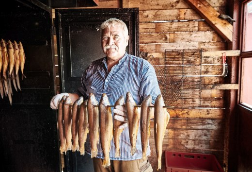 Directly from the fisherman - freshly smoked trout from the smoker, © TMV/pocha.de