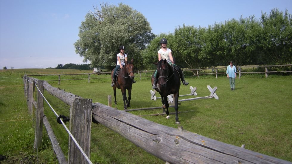 Hof Silberweide: Cavaletti work on the riding arena, © Hof Silberweide/ Alfred Waschlewski