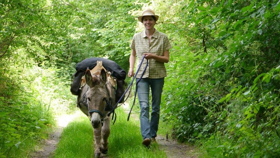 DonkeyPath - Hiking with donkeys, © Archiv, Biosphärenreservatsamt Schaalsee-Elbe