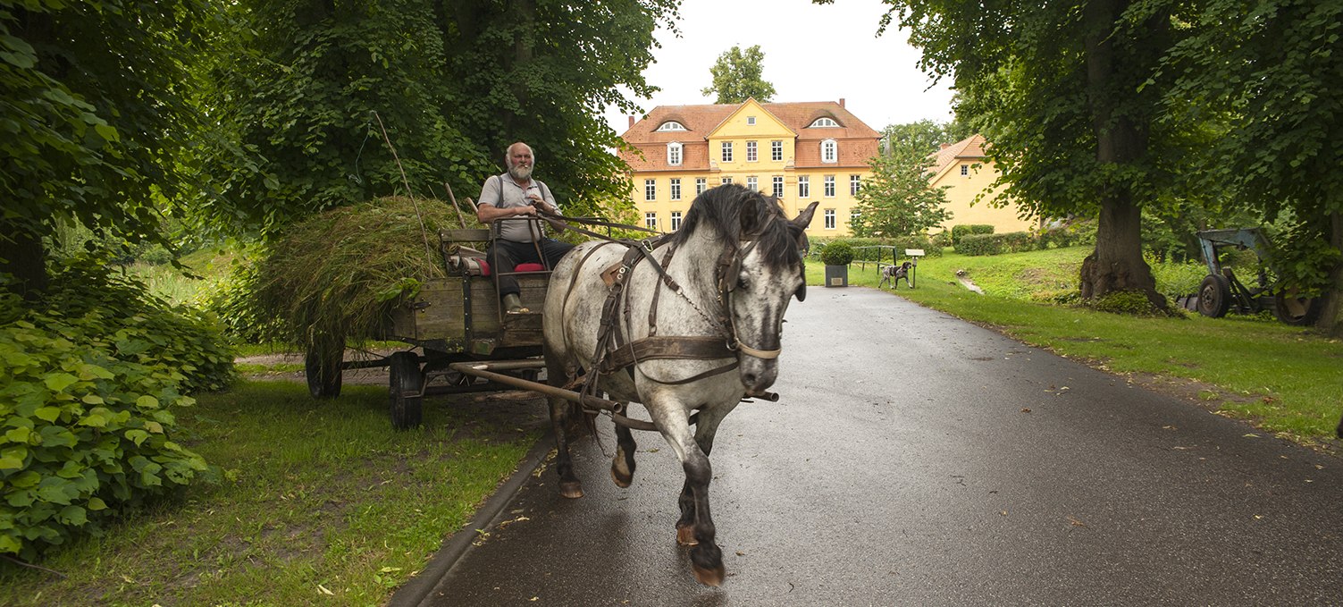 Horse carriage in front of Lühburg Castle, © Christin Drühl