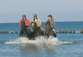 A refreshing ride through the Baltic Sea strengthens rider and horse health alike., © Reitstall Stuthof