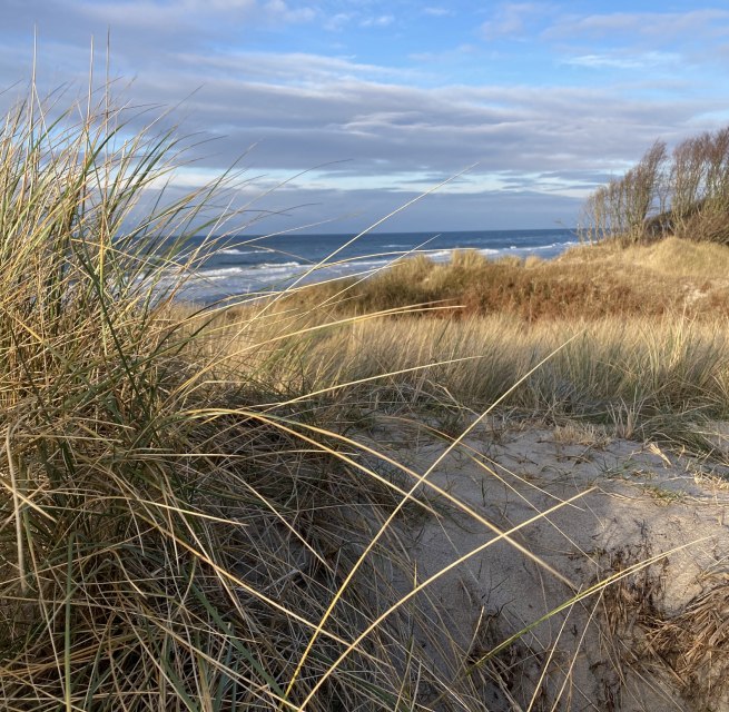 West Beach Winter, © Katrin Bärwald