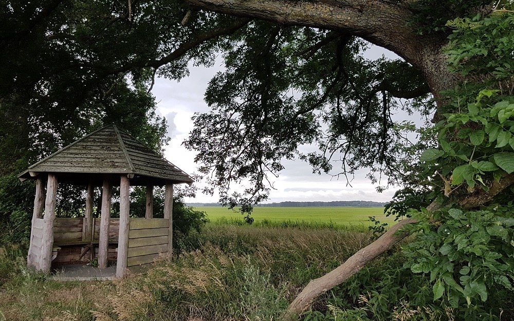 Right next to the picnic hut is an old, gnarled oak tree., © Verein Lewitz e.V.