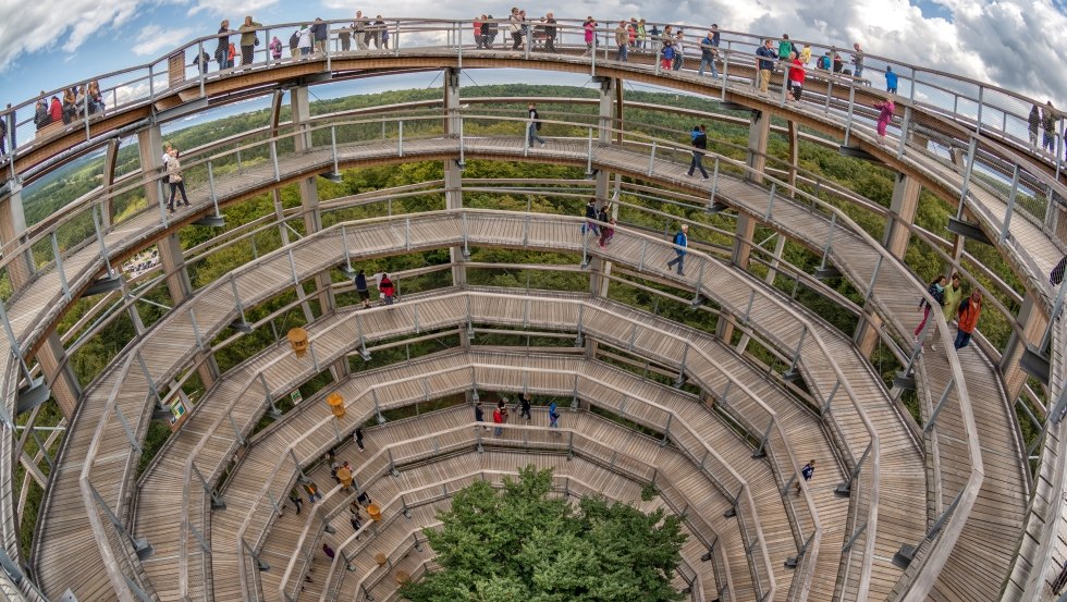 In the center of the watchtower stands a 30-meter-high and approximately 85-year-old copper beech., © Erlebnis Akademie AG / Naturerbe Zentrum Rügen