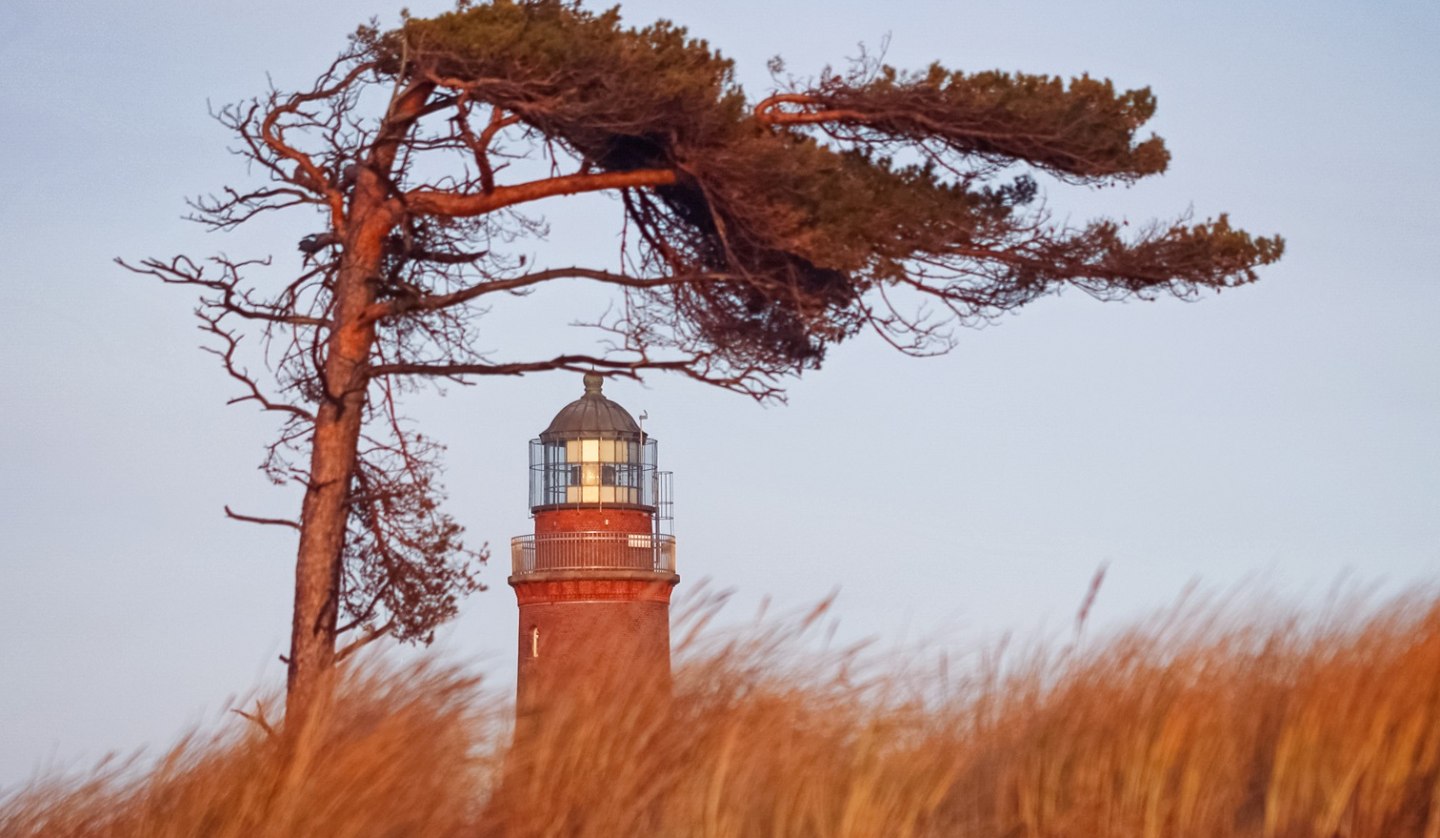 The Darss west beach is adorned by a lighthouse, which is part of the NATUREUM., © Anke Neumeister/Deutsches Meeresmuseum