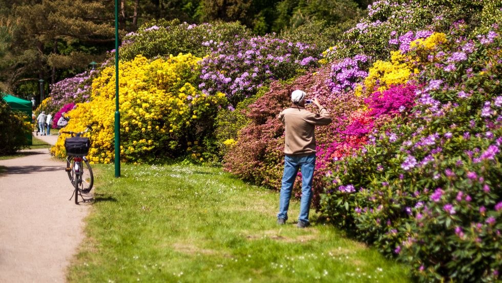 The splendor of colors is always a great photo motif, © VMO, Alexander Rudolph