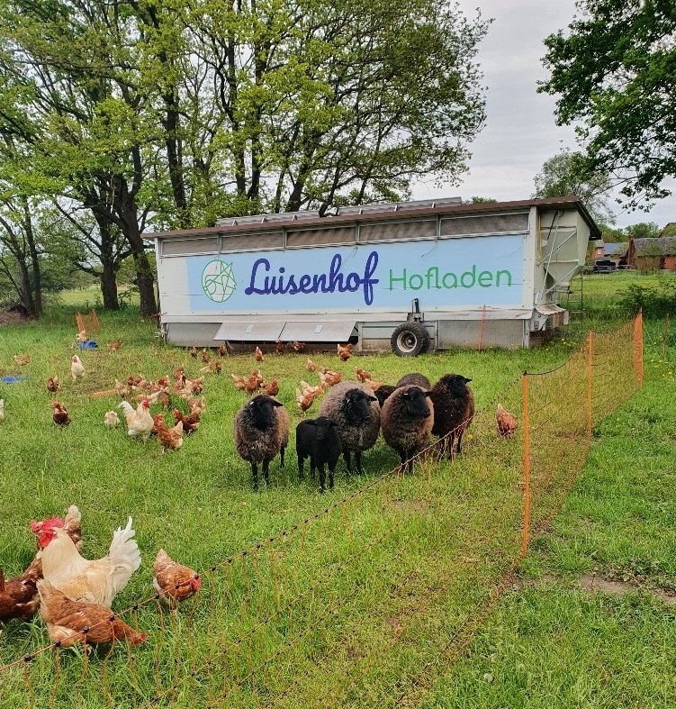 Chickens, sheep, farm store and much more at Luisenhof Wiebendorf, © Luisenhof GmbH