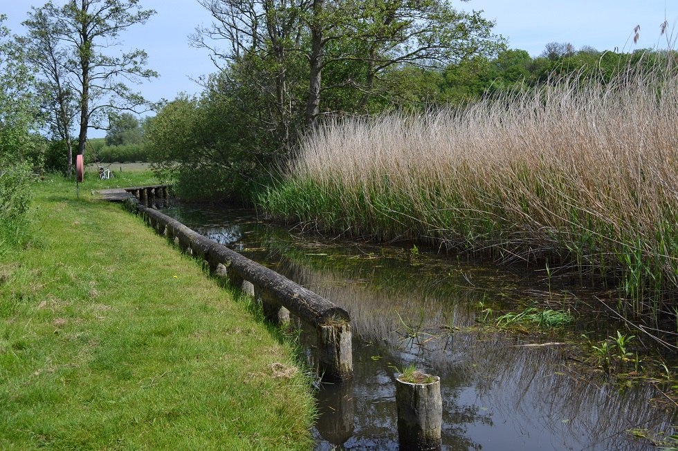 Entrance to the jetty from the view of the Recknitz River, © Lutz Werner