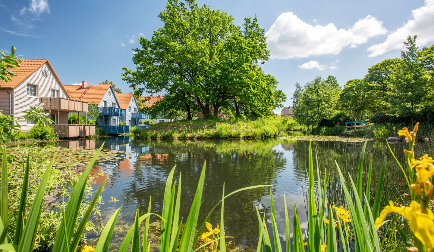 BEECH Resort Fleesensee, © Feriendorf Fleesensee GmbH