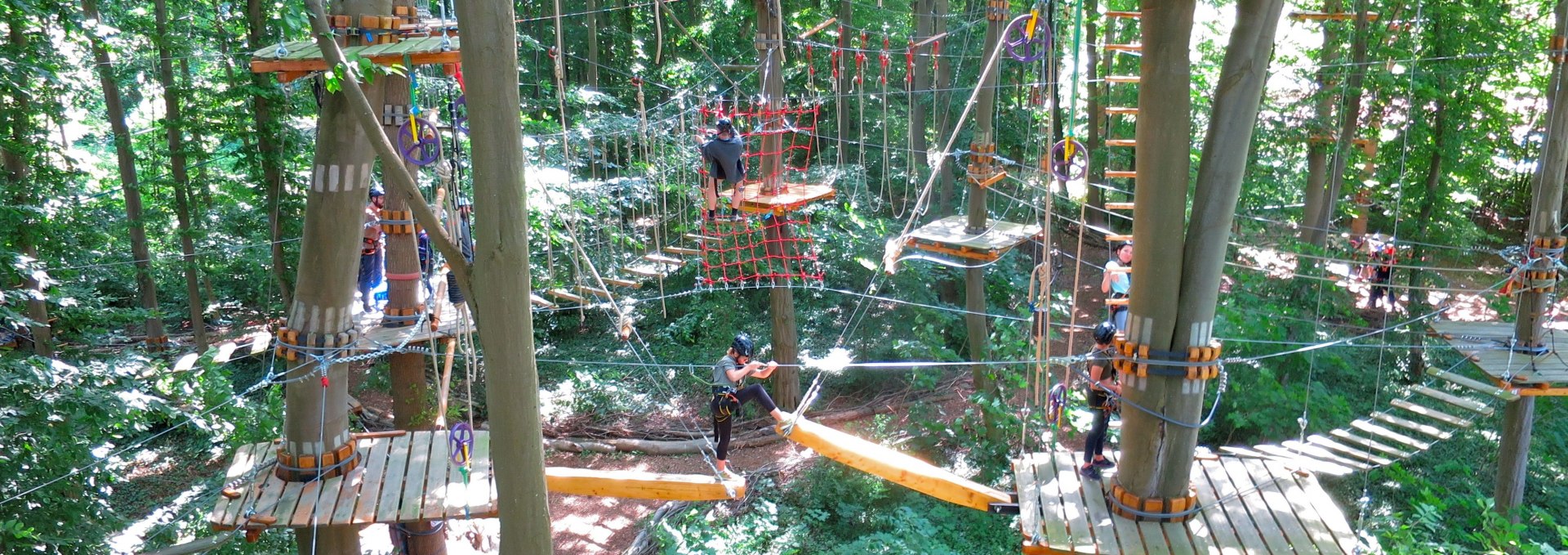 Climbing forest overview, © Michael Schicha