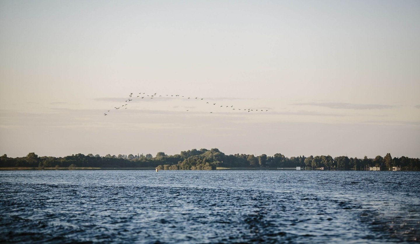 Experience nature at the Schaalsee, © TMV/Roth