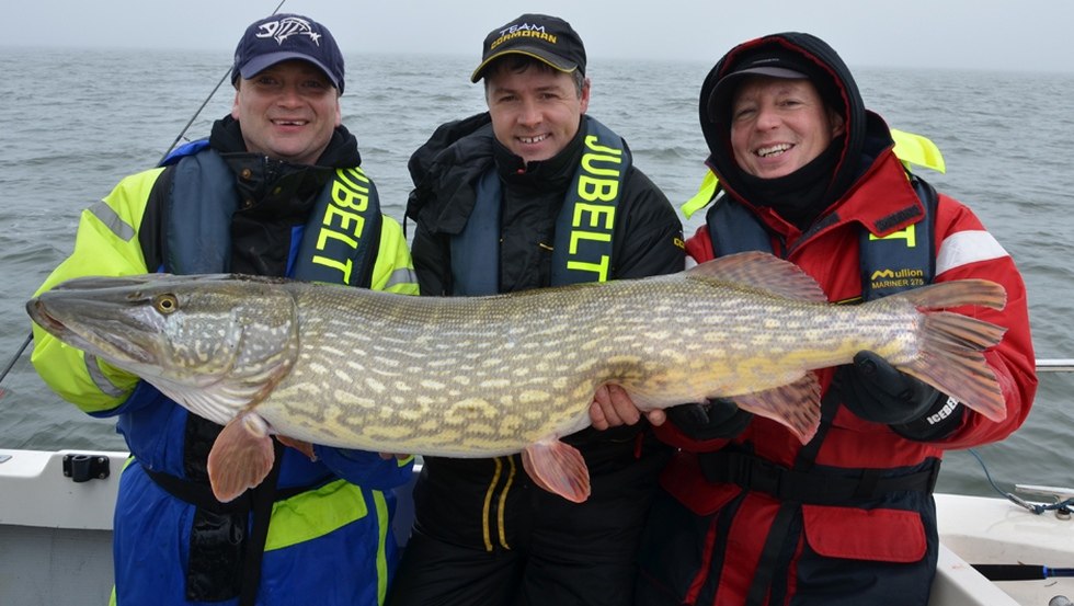 In the Bodden waters capital pike are not uncommon, © Guido Jubelt