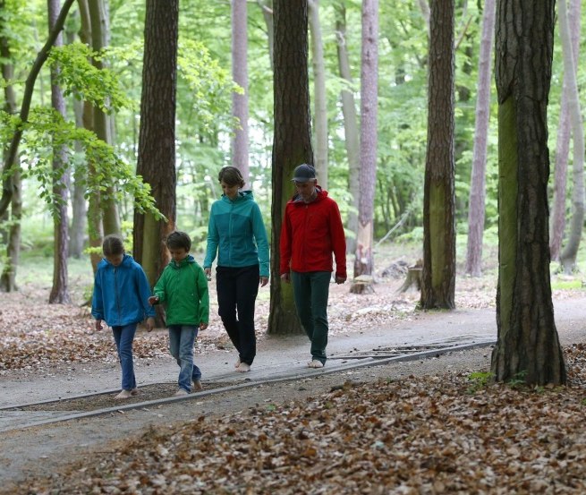 Without shoes you walk on the barefoot path over different natural materials like wood, stones and pine cones., © TMV/outdoor-visions.com