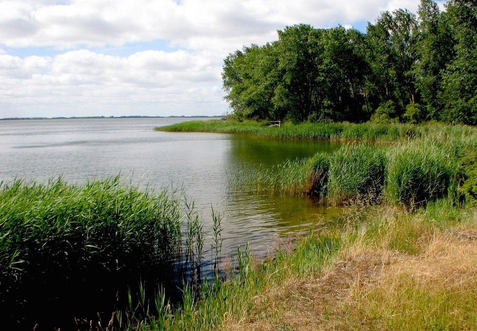 The "bow" from the Bodden side., © Tourismuszentrale Rügen