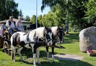 Start of the carriage ride, © Hof Thomsen