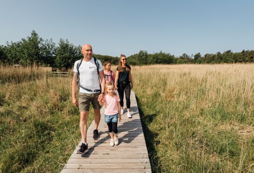 In the Vorpommersche Boddenlandschaft National Park, the family goes on an exciting discovery tour in the midst of untouched nature.