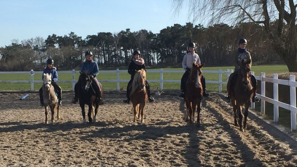 The riding arena at Bauer Harmann is suitable for individual lessons as well as for group lessons., © Bauer Hartmann/ Frauke Beier