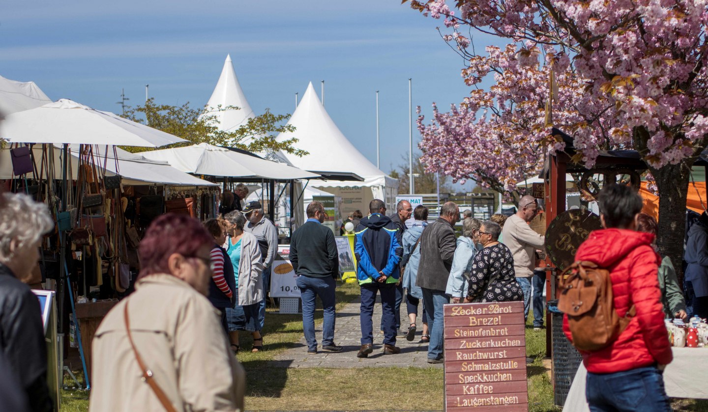 Hanseatic show Wismar, © das AgenturHaus GmbH