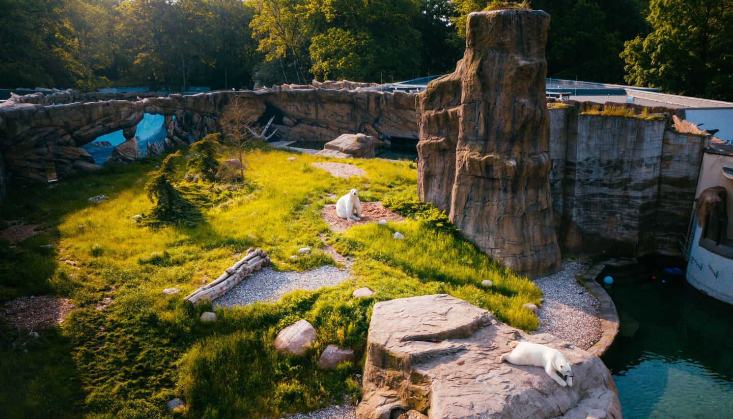 The Polarium at Rostock Zoo is somewhat reminiscent of Hudson Bay in Canada, which is home to many polar bears., © TMV/Friedrich