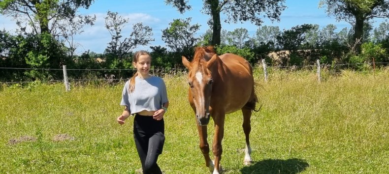 With horse in free play, © Ines Treuger