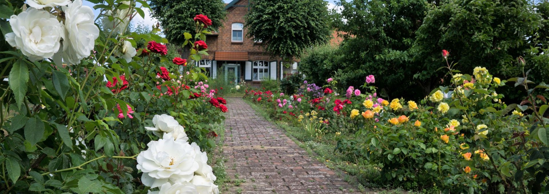 View of our house with rose garden, © O.E.Christoph