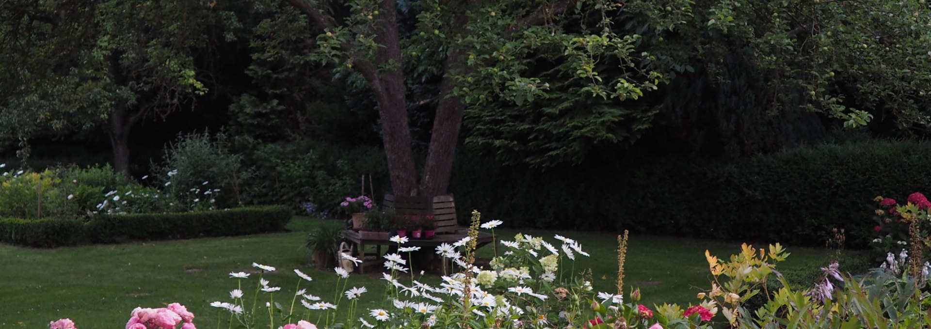 Tree bench and flower beds by the old apple tree, © Annelie Maiwald