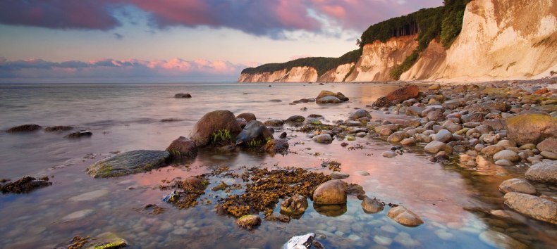 Pure romance: With rustic power, nature created one of Germany's most famous landmarks over millions of years - the chalk coast rising up to 161 sea in the Jasmund National Park on the island of Rügen., © TMV/Allrich