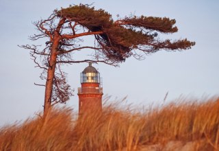 The Darss west beach is adorned by a lighthouse, which is part of the NATUREUM., © Anke Neumeister/Deutsches Meeresmuseum