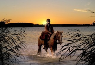 With the Fennhof in the extreme northeast of Germany experience the adventure riding very closely and intensively, © Fennhof/ Hafermalz